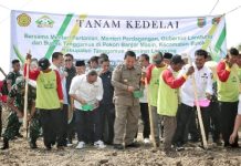 Gubernur Arinal Bersama Mentan Syahrul Yasin Limpo dan Mendag Zulkifli Hasan Lakukan Gerakan Tanam Kedelai di Kecamatan Bulog Tanggamus