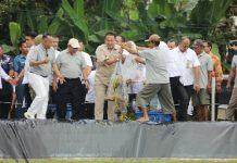 Gubernur Arinal Panen Perdana Udang Vaname Air Tawar