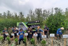 Hari Mangrove Sedunia 2023: Ekowisata Peluang Baru untuk Konservasi