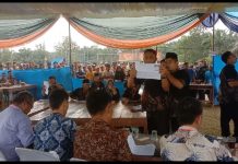 Diikuti 16 Desa, Lima Petahana Tumbang dalam Pilkades Serentak Mesuji