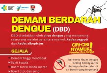 Kasus DBD Meningkat, Dinkes Mesuji dan Puskesmas Lakukan Cara ini !