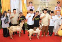 Gubernur Arinal Luncurkan Desa Baznas Sektor Peternakan di Desa Madukoro Baru Lampung Utara
