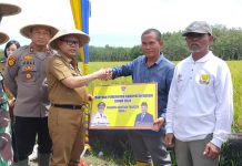 Panen Raya Padi, Pemkab Mesuji Salurkan Bantuan Pertanian Bentuk Suport ke Petani