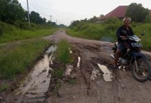 Tiga Tahun Berturut Tak Kebagian Pembangunan Jalan, Tokoh Masyarakat Sebut Pemda Mesuji Anak Tirikan Kecamatan Mesuji
