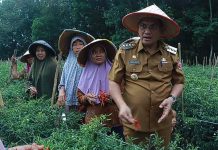 Wakil Ketua DPRD Lampung Utara Apresiasi Kinerja Pj Bupati Aswarodi