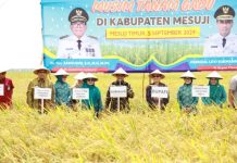 Pj. Gubernur Samsudin dan Ibu Maidawati Panen Raya Padi Tanam Gadu di Mesuji