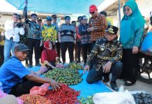 Pj. Gubernur Samsudin Pantau Bahan Kebutuhan Pokok di Pasar Kawasan Transmigrasi Mandiri Mesuji