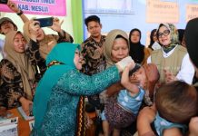 Pj. Gubernur, Ibu Maidawati Tinjau Penanggulangan Stunting dan Posyandu di Mesuji Timur