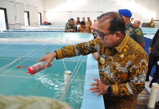 Pj. Gubernur Lampung Buka FGD Optimalisasi Pengelolaan Benih Bening Lobster