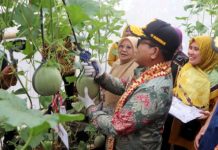 Pj. Gubernur Lampung Resmikan Poskesdes dan Panen Melon Bersama