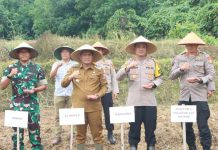Tanam Jagung Serentak, Aswarodi : Perlunya Sinergi Antara Pemerintah TNI, Polri dan Petani