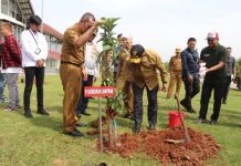 Jaga Keseimbangan Lingkungan, Pj. Gubernur Lampung Tanam Pohon di Ruas Tol Bakauheni-Terbanggi Besar