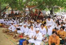 Hadiri Upacara Melasti, Wagub Jihan Nurlela Tegaskan Harmoni dalam Keberagaman di Provinsi Lampung