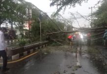 Lampura Dilanda Cuaca Ekstrem, Pohon, Papan Reklame Tumbang Hingga Atap Rumah Berterbangan. Wabup, BPBD Respon Cepat Turun Langsung