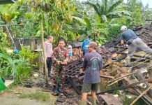Hujan Deras Robohkan Rumah Buruh di Abung Selatan, Babinsa Kopka Adi Dwinata Sigap Terjun ke Lokasi