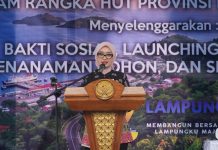 Pemprov Lampung Dorong RSUD BNH Menuju Green and Sport Hospital