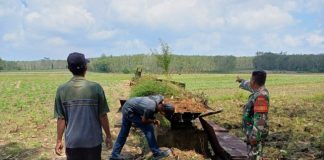 Respon cepat Babinsa Cek TKP Perusakan Saluran Irigasi Tersier di Tulang Bawang Barat.
