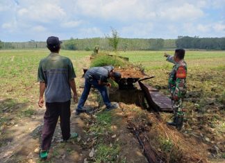 Respon cepat Babinsa Cek TKP Perusakan Saluran Irigasi Tersier di Tulang Bawang Barat.