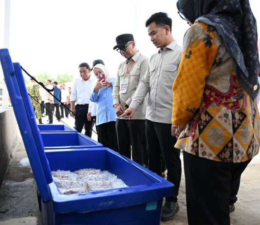 Pastikan Fasilitas Kawasan Nelayan Terintregasi, Wapres Tinjau KNMP Desa Margasari