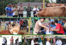 Rayakan Idul Adha 1447 H, Kodim 0412/LU Tebar Kebaikan Melalui Pemotongan Hewan Qurban