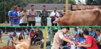 Rayakan Idul Adha 1447 H, Kodim 0412/LU Tebar Kebaikan Melalui Pemotongan Hewan Qurban