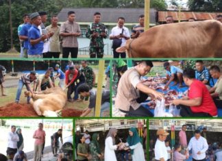 Rayakan Idul Adha 1447 H, Kodim 0412/LU Tebar Kebaikan Melalui Pemotongan Hewan Qurban