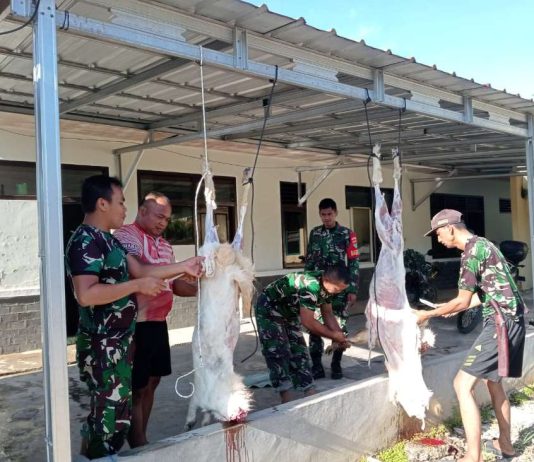 Bersinergi dengan Baznas Tubaba, Koramil 412-05/TBU Laksanakan penyembelihan hewan Kurban