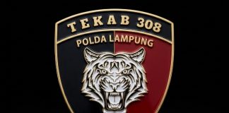 Tragedi ZA Pagar Alam, Mengulas Lahirnya Tekab 308