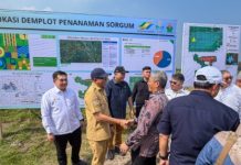 Lampung Disiapkan Jadi Pusat Bioetanol Nasional, Wamen Investasi Tinjau Lokasi Pabrik di Lamsel