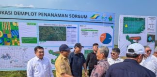 Lampung Disiapkan Jadi Pusat Bioetanol Nasional, Wamen Investasi Tinjau Lokasi Pabrik di Lamsel