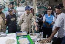 Bed Dryer Beroperasi di Rawa Jitu Selatan, Dorong Hilirisasi Pertanian dan Kesejahteraan Petani di Tulang Bawang