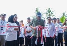 Pemprov Lampung Dorong Kebangkitan Pertanian Mesuji Melalui Teknologi dan Inovasi
