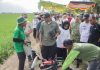Pemprov Lampung Perkuat Dukungan untuk Petani, dari Teknologi hingga Pengendalian Hama
