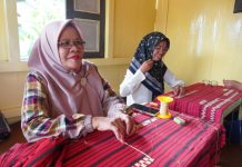Budaya sebagai Modal Pembangunan, Gubernur Dorong Kebangkitan Desa-Desa Budaya Lampung