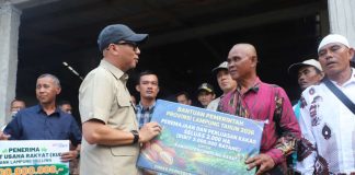Pemprov Lampung Perkuat Fondasi Ekonomi Desa Lewat Inovasi Pertanian dan Pemberdayaan Petani