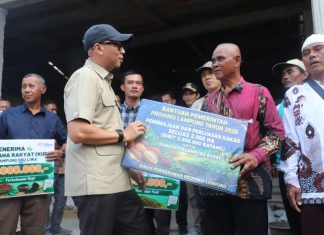 Pemprov Lampung Perkuat Fondasi Ekonomi Desa Lewat Inovasi Pertanian dan Pemberdayaan Petani