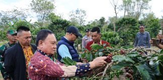 PHC Ubah Wajah Perkebunan Kopi Lampung, Gubernur Mirza Dorong Produktivitas Kopi Meningkat