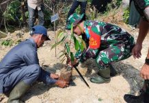 Satgas TMMD ke-129 Kodim 0412/LU Gelar Aksi Penanaman Pohon hijaukan Desa Baru Raharja
