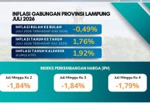 Inflasi Lampung Terendah di Sumatera, Pemprov Terus Perkuat Pasokan dan Distribusi Pangan