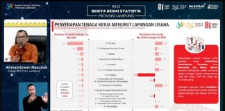 BPS: 35,5 Ribu Tenaga Kerja Terserap, TPT Lampung Mei 2026 Sebesar 3,97 Persen