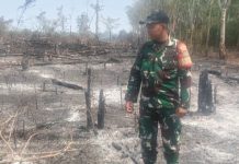 Respon Cepat Babinsa Koramil Sungkai Selatan Redam Potensi Karhutla di Desa Negeri Ujung Karang