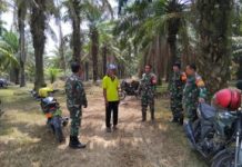 Koramil 412-08/Abung Timur Patroli Karhutla di berbagai titik rawan kebakaran