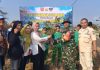 Sambut HUT TNI ke-81, Kodim 0412/LU Tanam Pohon Produktif di Tanjung Aman