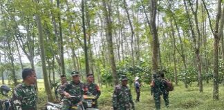 Antisipasi Bencana Musim Kemarau, Babinsa Koramil 412-05/TBU Sisir Lahan Rawan Kebakaran di Tubaba