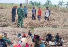 Babinsa Koramil 412-02/SS Gelar Edukasi Karhutla di Desa Karang Mulyo