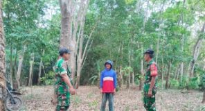 Cegah Karhutla, Dua Babinsa Sisir Wilayah Papan Asri Abung Semuli