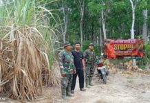 Cegah Karhutla Meluas, Babinsa Koramil 412-01/TBT Gencarkan Patroli dan Sosialisasi