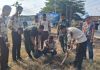 Sambut HUT ke-81 TNI, Kodim 0412/LU Hijaukan Lampung Utara Lewat Gerakan Sejuta Pohon