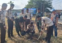 Sambut HUT ke-81 TNI, Kodim 0412/LU Hijaukan Lampung Utara Lewat Gerakan Sejuta Pohon