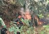 Api Mengamuk di Lahan Bambu Pekurun Tengah, Babinsa dan Tim Gabungan Bergerak Cepat Jinakkan Kobaran